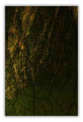 wallarts canvas walldecorpakistan homedecor