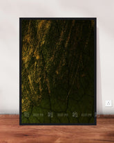 wallarts canvas walldecorpakistan homedecor