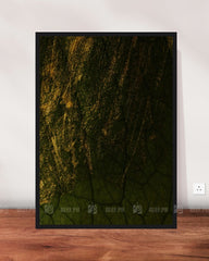 wallarts canvas walldecorpakistan homedecor